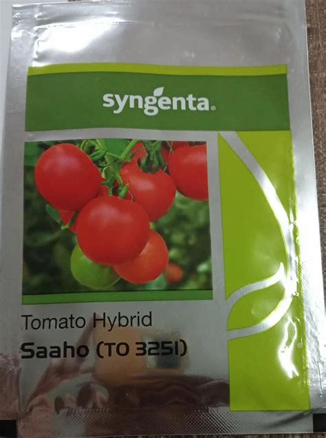 Hybrid Red Syngenta Tomato Saaho Packaging Type Packet Packaging