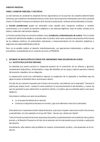 Procesal Tema Pdf