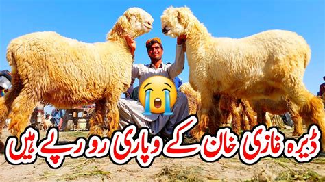 Dera Ghazi Khan Mundra Mandi 03314765253 Mundra Goat Farm Mundra