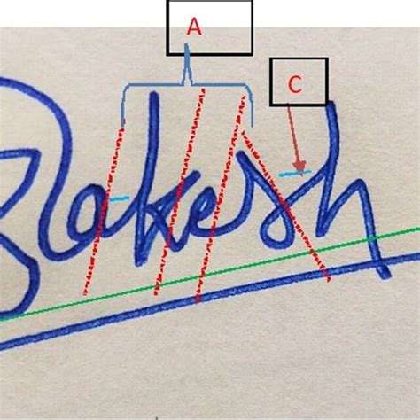 Is It Possible To Estimate Sex From Signatures And Handwriting A Review Of Literature