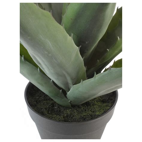 Plante Verte Agave Artificielle Pineuse Cm Artiplantes