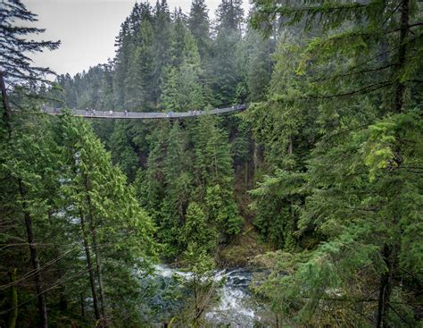 Is Visiting Capilano Suspension Bridge Worth it? - It Started Outdoors