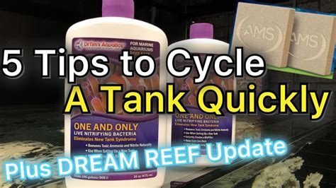 Cycling My Dream Reef Tank 5 Tips On How To Cycle Quickly With Dr Tims