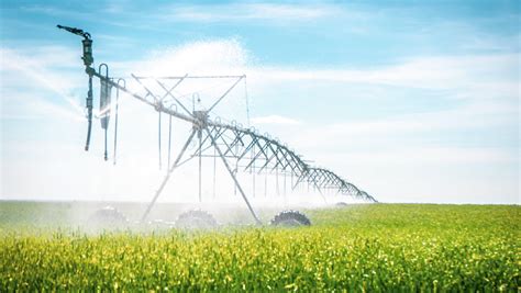 Moisture availability, not fertilizer alone, affects long-term fate of