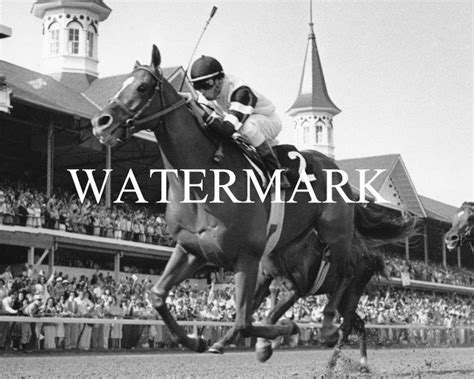 Affirmed 1978 Kentucky Derby Winner Horse Racing 8 X 10 Photo Race