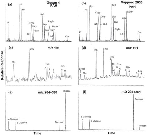 Examples Of Key Ion Plots For PAHs And Biomarkers G4 Figures 4a 4c