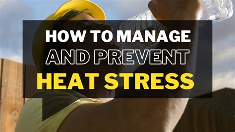 How To Manage And Prevent Heat Stress At Work Work Safety Qld