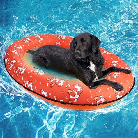 Pool Floats For Dogs The 15 Best Products Compared Wild Explained