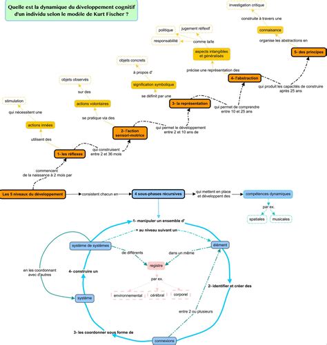 D Veloppement Cognitif Des Adultes Edutech Wiki