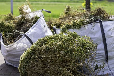 Helpful Shrub Removal Tips | LTRC Tree Specialists