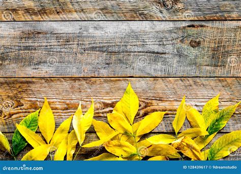 Het Concept Van De Herfstkleuren Model Met Gele Bladeren Op De Houten