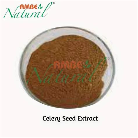Celery Seed Extract, Packaging Type: HDPE drum at ₹ 955/kg in Ghaziabad ...