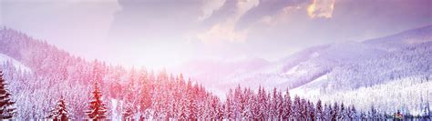 Winter forest and sunset 4K wallpaper download