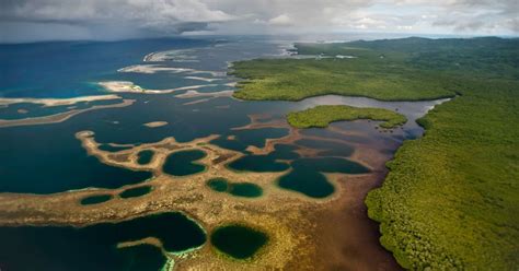 Investing In Blue Carbon For A Resilient Future