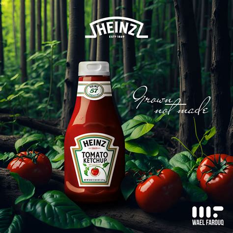 Heinz Creative Concept Behance