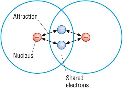 Ionic Vs. Covalent Bond - What Are The Differences?