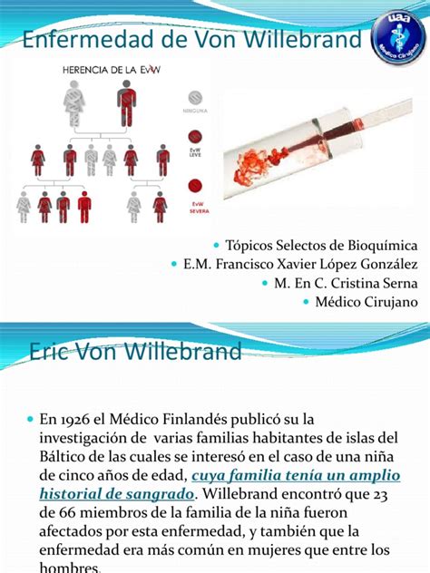 Enfermedad De Von Willebrand Pdf Plaqueta Especialidades Medicas