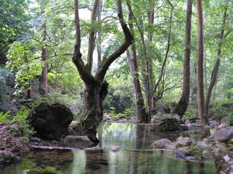 Reserva De La Bi Sfera Sierra Gorda Quer Taro Lo Que Se Debe