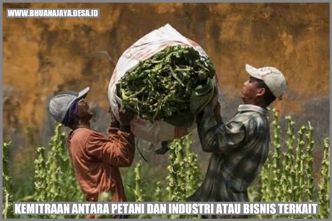 Kemitraan Antara Petani Dan Industri Atau Bisnis Terkait Membangun