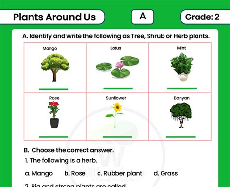 Plants Around Us Class 2 Worksheet