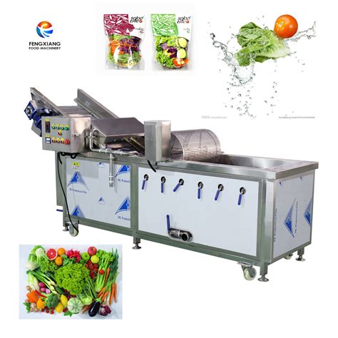 China Wa 2000 Automatic Fruit Bubble Ozone Vegetable Washing Machine