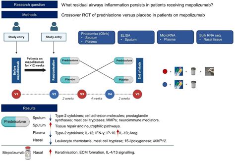 Anti Inflammatory Effects Of Oral Prednisolone At Stable State In