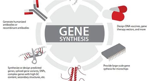 Gene Synthesis Market Expected to Reach USD 20,122 MN by 2025 With A ...