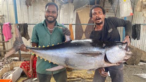 60KG HUMAN SIZE TUNA FISH CUTTING VIDEO Kasimedu FISH CUTTING