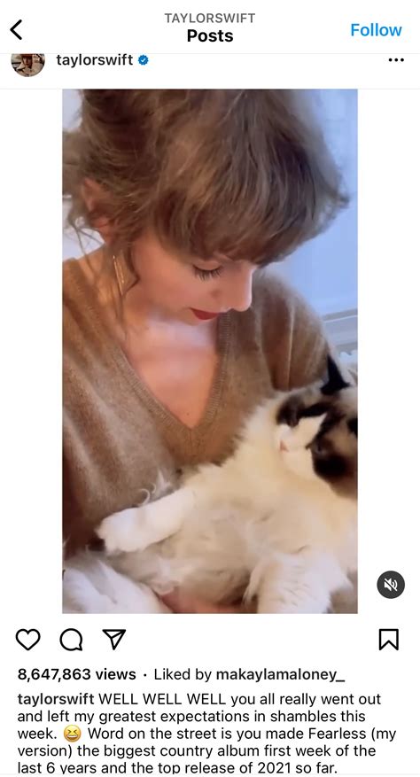 Everything you need to know about Taylor Swift's Cat - Benjamin Button