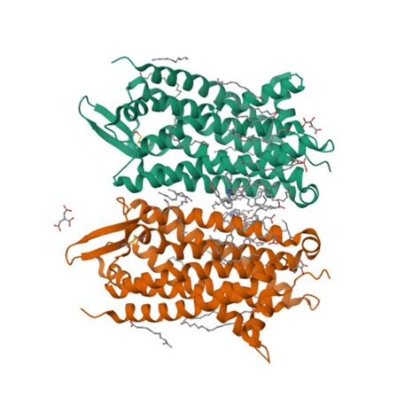 C5a 1 receptor | Complement peptide receptors | IUPHAR/BPS Guide to ...