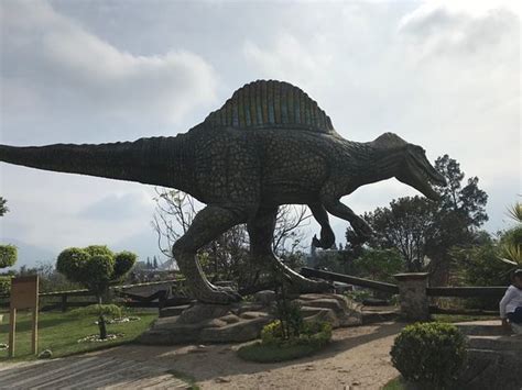 Expo Parque De Los Dinosaurios Orizaba