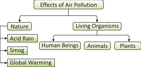 Cbse Class Biology Natural Resources