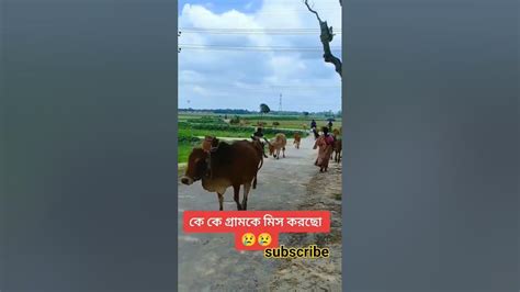 আমাদের গ্রামের প্রাকৃতিক দৃশ্য 🇧🇩 ️foryou Shortvideo Youtube