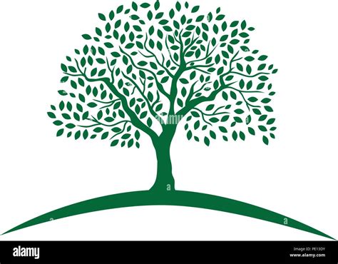 Tree Of Life Stock Vector Image And Art Alamy