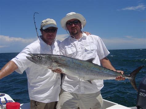 Catching King Mackerel Tips And Tactics SkyAboveUs