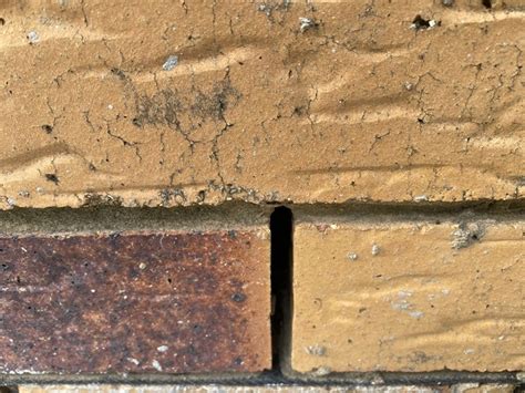 Tiny Details BIG IMPACT Why We Inspect Weep Holes