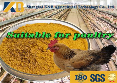 Direct Additive Grower Finisher Chicken Feed Meat Chicken Feed 65