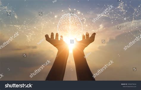 Brain Connections Over 36 772 Royalty Free Licensable Stock Photos