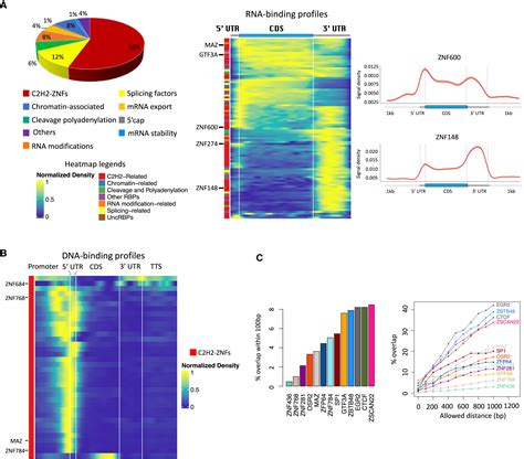 C2h2 Zinc Finger Transcription Factors Bind Rna And Function In Diverse