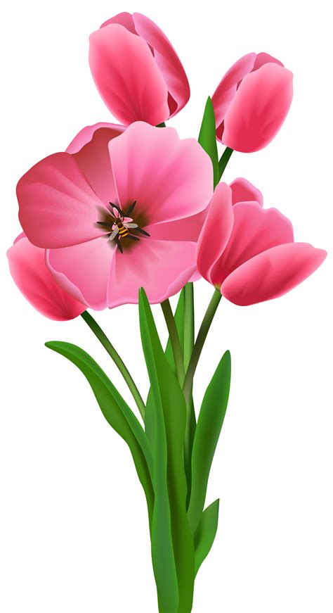 Flower Varuthini Ekadashi Clip art - Tulips Transparent PNG Image png ...