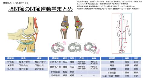 膝関節の関節運動学まとめ サラ理のブログ