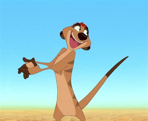 Timon Disney Wiki Fandom