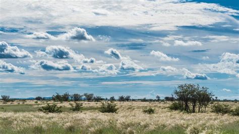 Premium Photo Late Afternoon Sunlight On Grassland And Sunlit Clouds