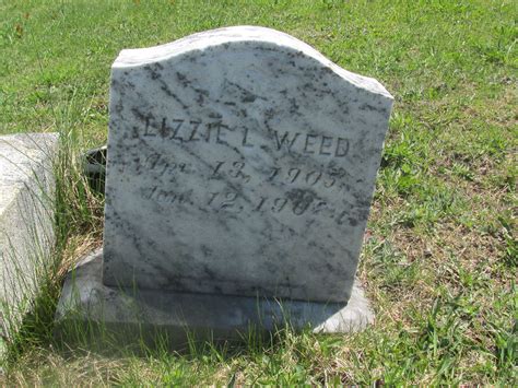 Lizzie L Weed Homenaje De Find A Grave