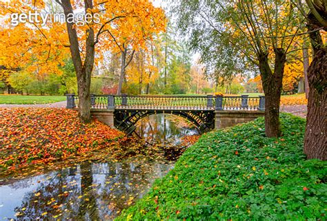 Bridge In Catherine Park In Autumn Foliage Pushkin Tsarskoe Selo