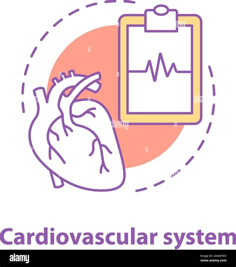 Concepto De Sistema Cardiovascular Icono Cardiología Idea Línea