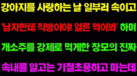 실화사연 강아지를 사랑하는 날 일부러 속이고 남자한테 직빵이야 얼른 먹어봐 하며 개소주를 강제로 먹게한 장모 톡톡사연