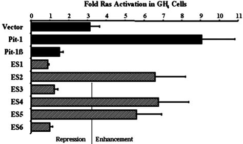 The Pit Domain Dictates Active Repression And Alteration Of Histone