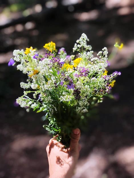 Premium Photo Cropped Image Of Hand Holding Bouquet