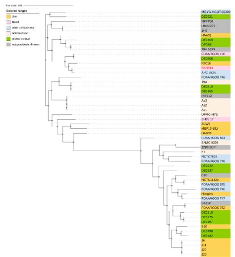 Core Genome Maximum Likelihood Phylogenetic Tree Of S Hominis Shor